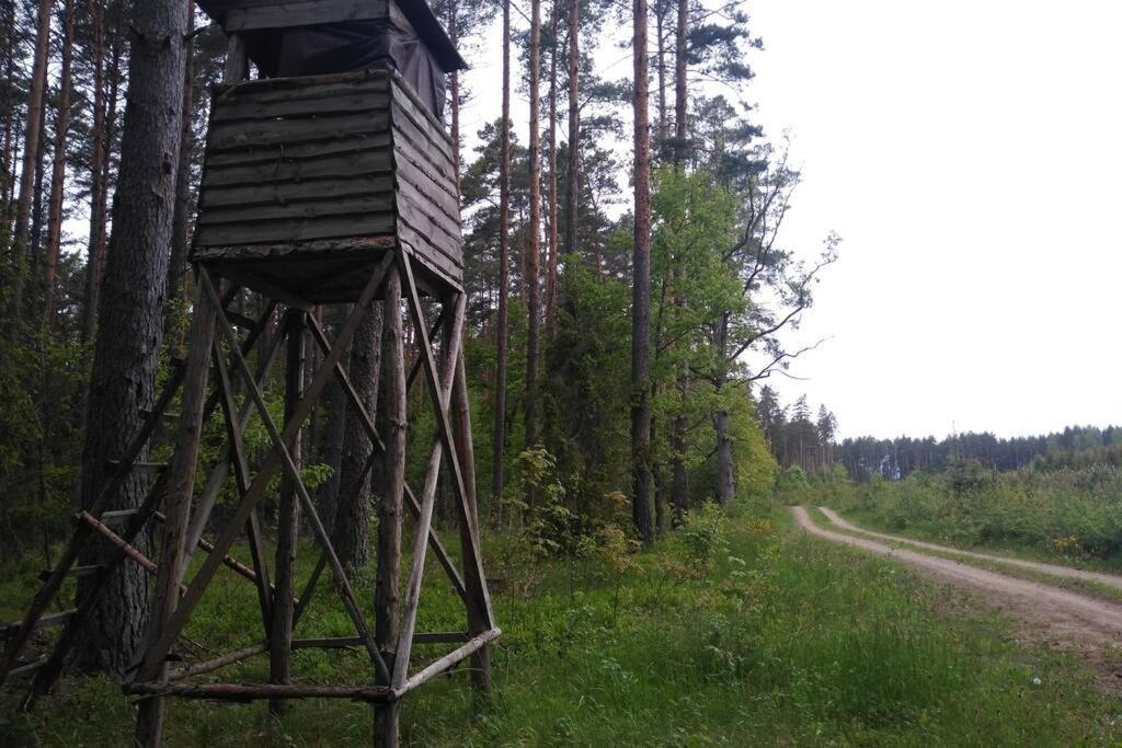 Dom Wakacyjny - Zakatek Marzenie Orzyny Exterior foto